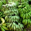 RAW BANANA - Image 6