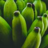 RAW BANANA - Image 5