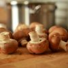 MUSHROOMS - Image 4