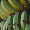 RAW BANANA - Image 2